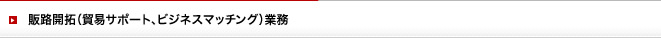 販路開拓（貿易サポート、ビジネスマッチング）業務